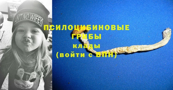 дживик Алексин