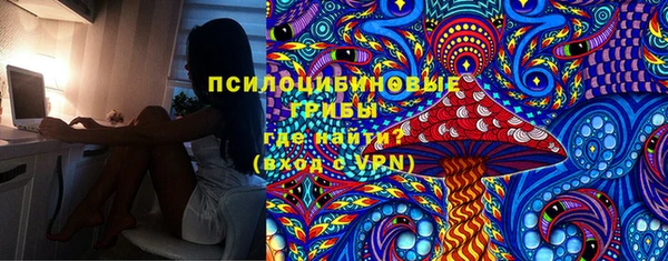 дживик Алексин